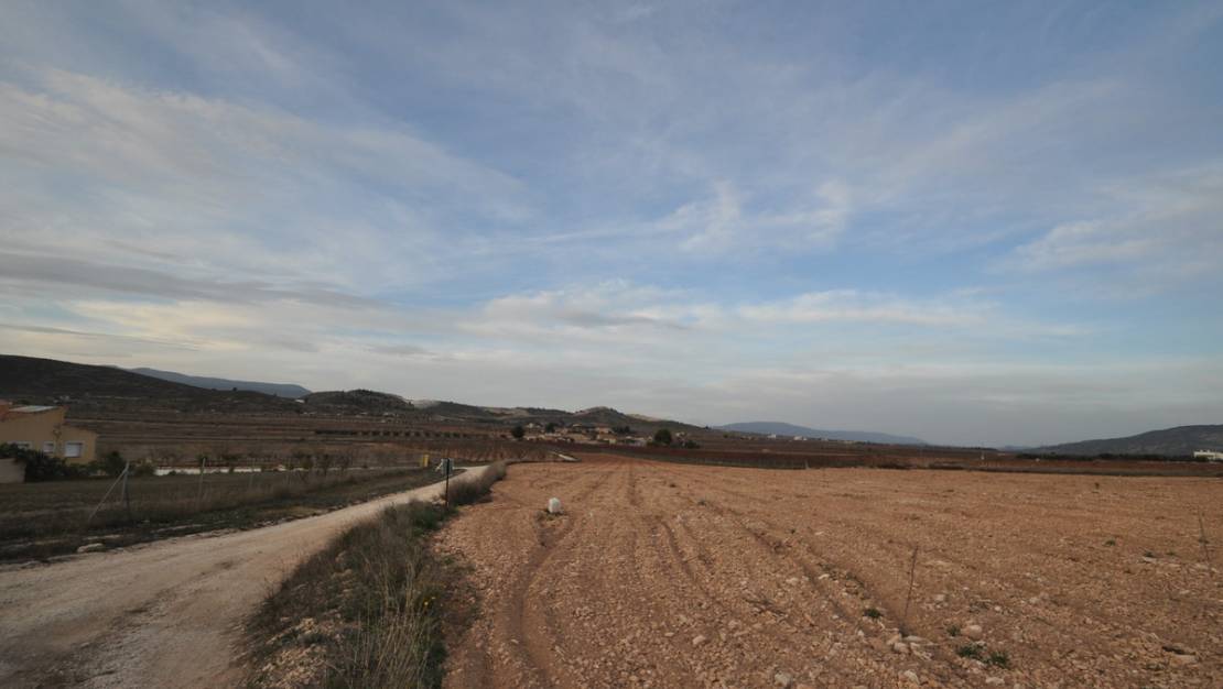Venta - Land - Jumilla - Cañada del Trigo