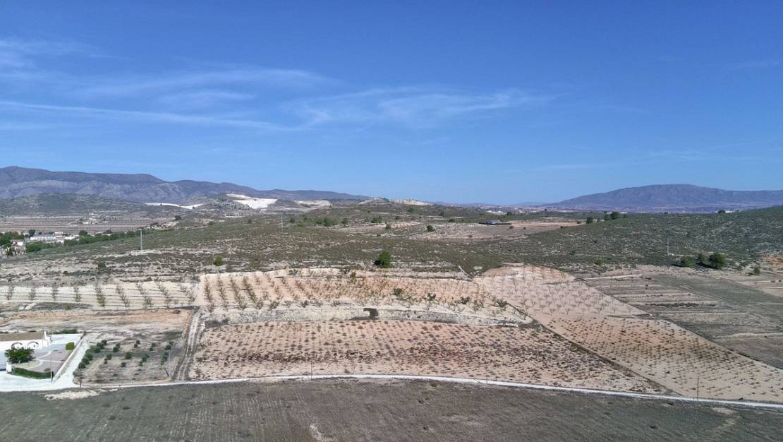 Venta - Land - Jumilla - Cañada del Trigo