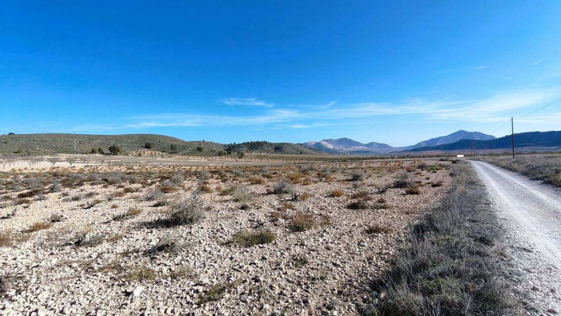 Venta - Land - Jumilla - Cañada del Trigo