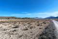 Venta - Land - Jumilla - Cañada del Trigo