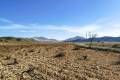Venta - Land - Jumilla - Cañada del Trigo