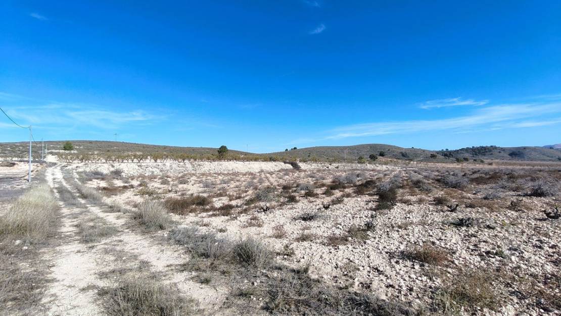 Venta - Land - Jumilla - Cañada del Trigo