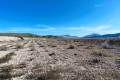 Venta - Land - Jumilla - Cañada del Trigo