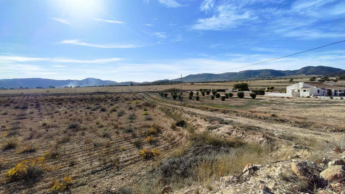 Venta - Land - Jumilla - Cañada del Trigo