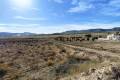 Venta - Land - Jumilla - Cañada del Trigo
