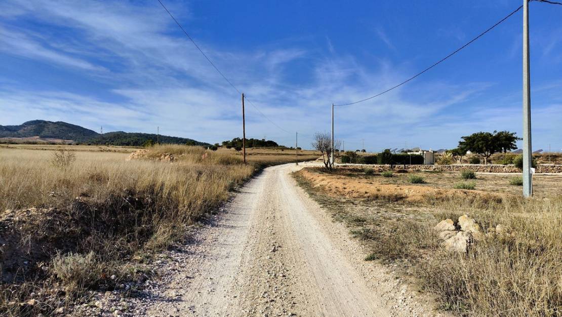 Venta - Land - Jumilla - Cañada del Trigo