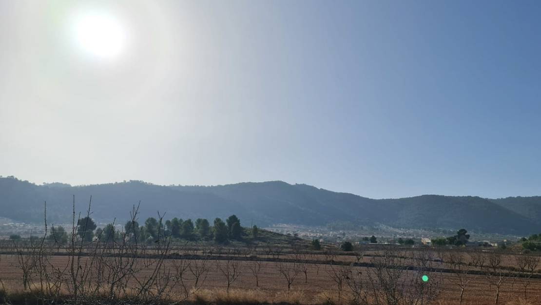 Venta - Land - Jumilla - Jumilla Centro