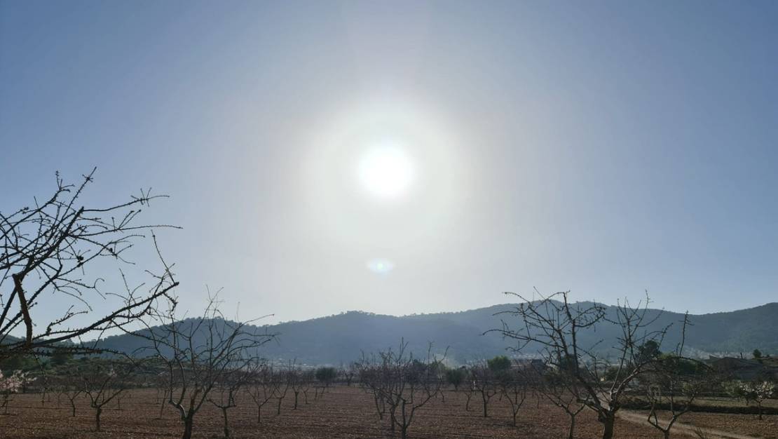 Venta - Land - Jumilla - Jumilla Centro
