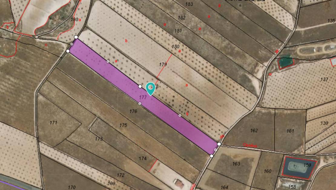 Venta - Land - Jumilla - Jumilla Centro