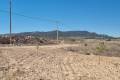 Venta - Land - Jumilla - Jumilla Centro