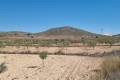 Venta - Land - Jumilla - Jumilla Centro