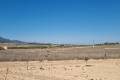 Venta - Land - Jumilla - Jumilla Centro