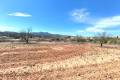 Venta - Land - Jumilla - Jumilla Centro