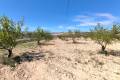 Venta - Land - Jumilla - Jumilla Centro