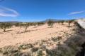 Venta - Land - Jumilla - Jumilla Centro
