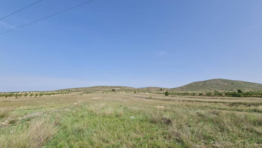 Venta - Land - Jumilla - Jumilla Centro