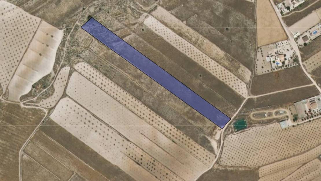 Venta - Land - Jumilla - Jumilla Centro