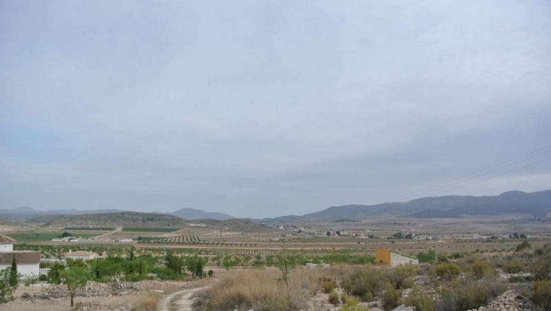 Venta - Land - Jumilla - Jumilla Centro