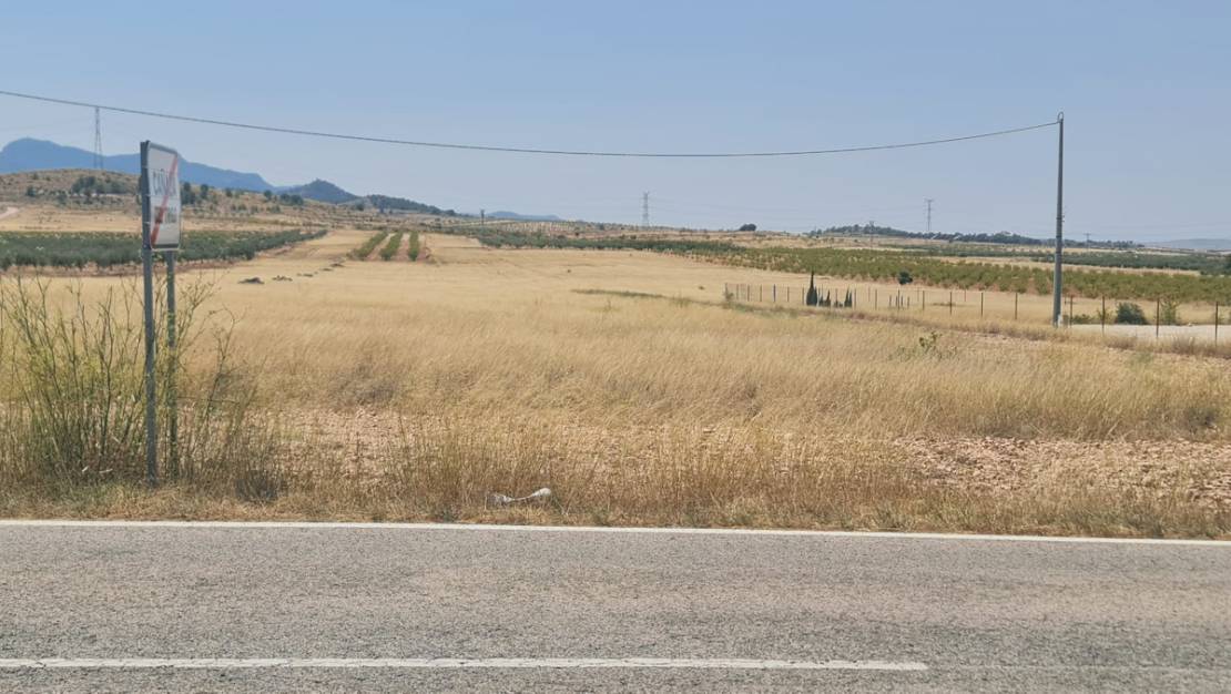 Venta - Land - Jumilla - Jumilla Centro
