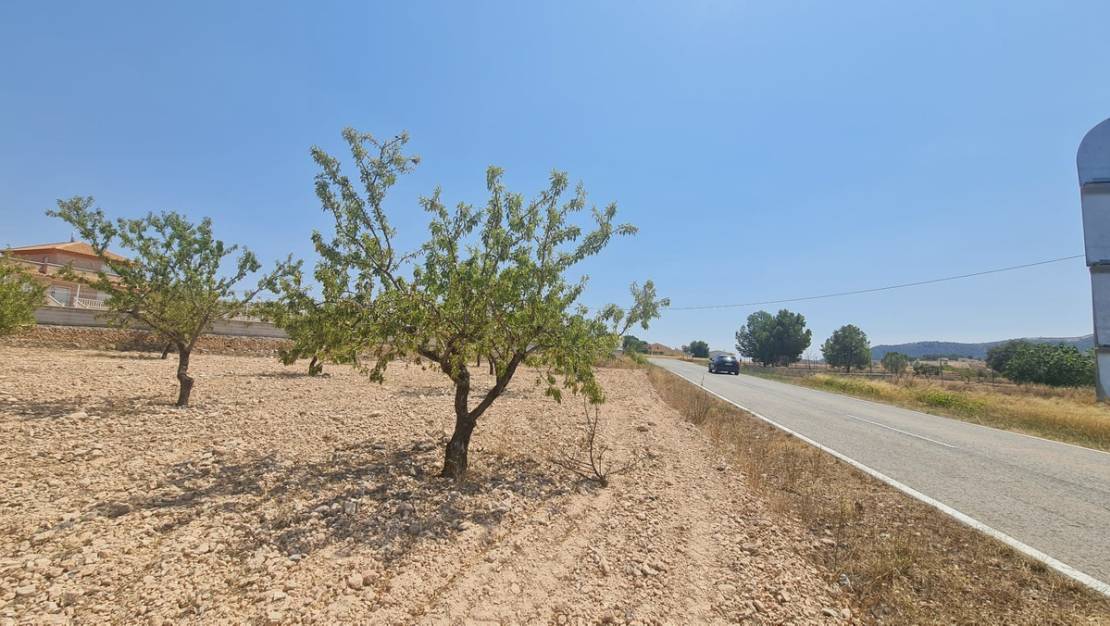 Venta - Land - Jumilla - Jumilla Centro