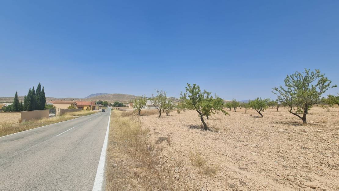 Venta - Land - Jumilla - Jumilla Centro