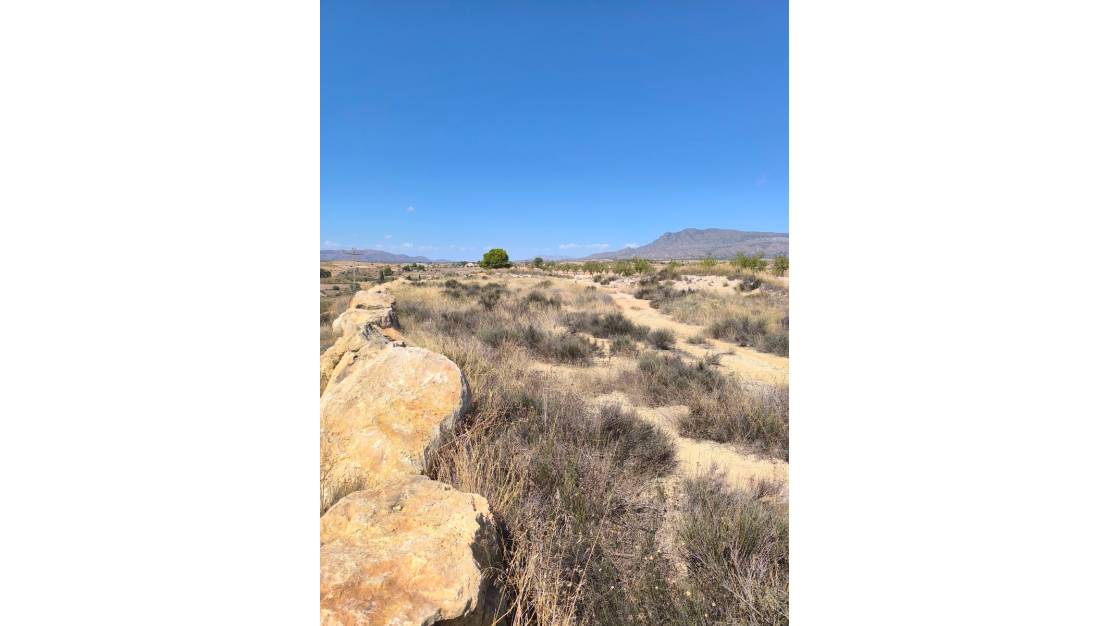 Venta - Land - Jumilla - Jumilla Centro