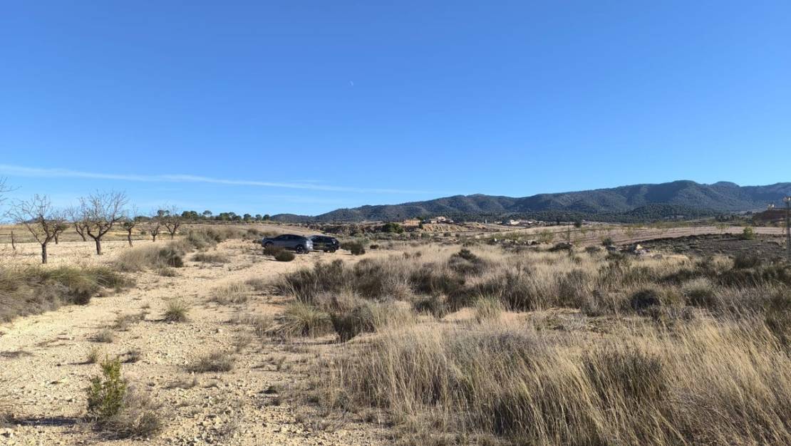 Venta - Land - Jumilla - Jumilla Centro