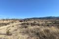 Venta - Land - Jumilla - Jumilla Centro