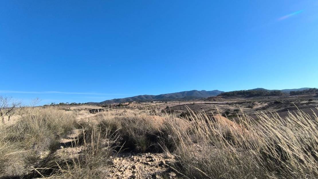 Venta - Land - Jumilla - Jumilla Centro