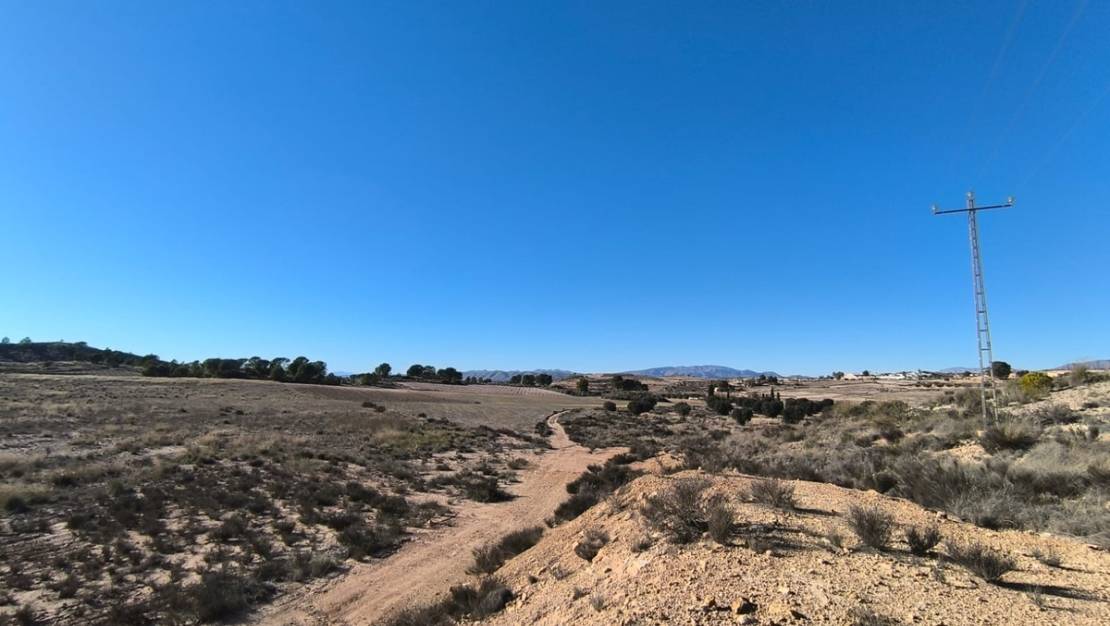 Venta - Land - Jumilla - Jumilla Centro