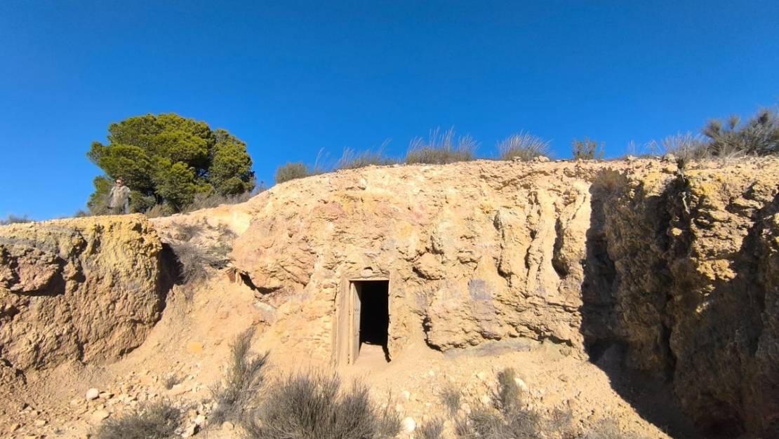 Venta - Land - Jumilla - Jumilla Centro