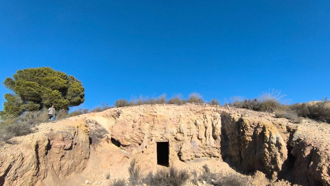 Venta - Land - Jumilla - Jumilla Centro