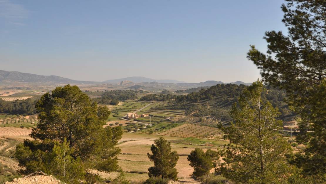 Venta - Land - Jumilla - La Zarza