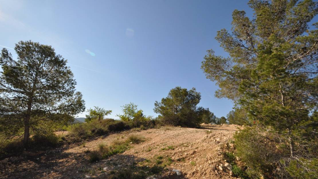 Venta - Land - Jumilla - La Zarza