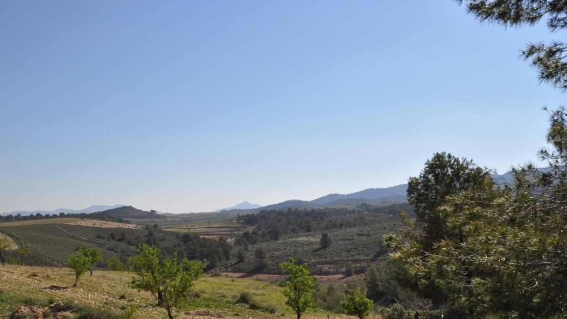 Venta - Land - Jumilla - La Zarza