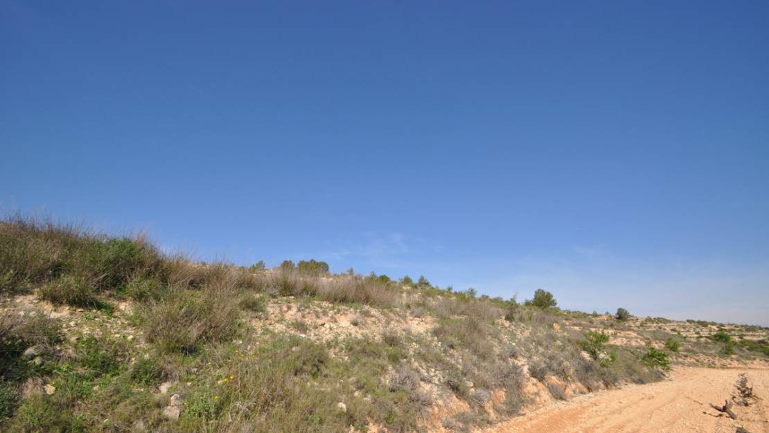 Venta - Land - Jumilla - La Zarza