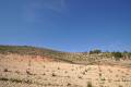 Venta - Land - Jumilla - La Zarza