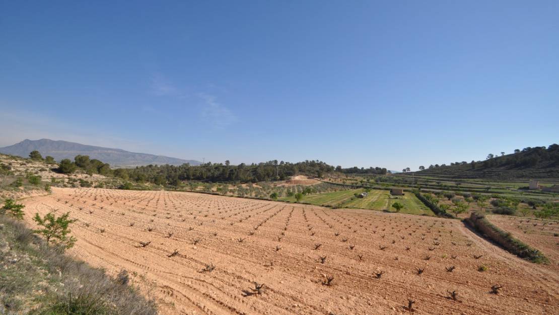 Venta - Land - Jumilla - La Zarza