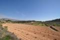 Venta - Land - Jumilla - La Zarza