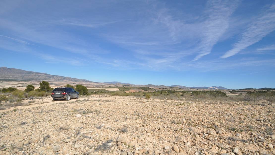 Venta - Land - Jumilla - La Zarza