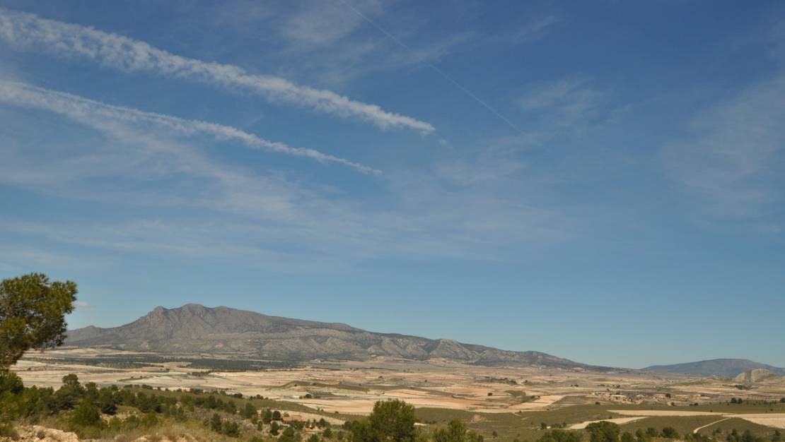 Venta - Land - Jumilla - La Zarza