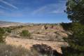 Venta - Land - Jumilla - La Zarza