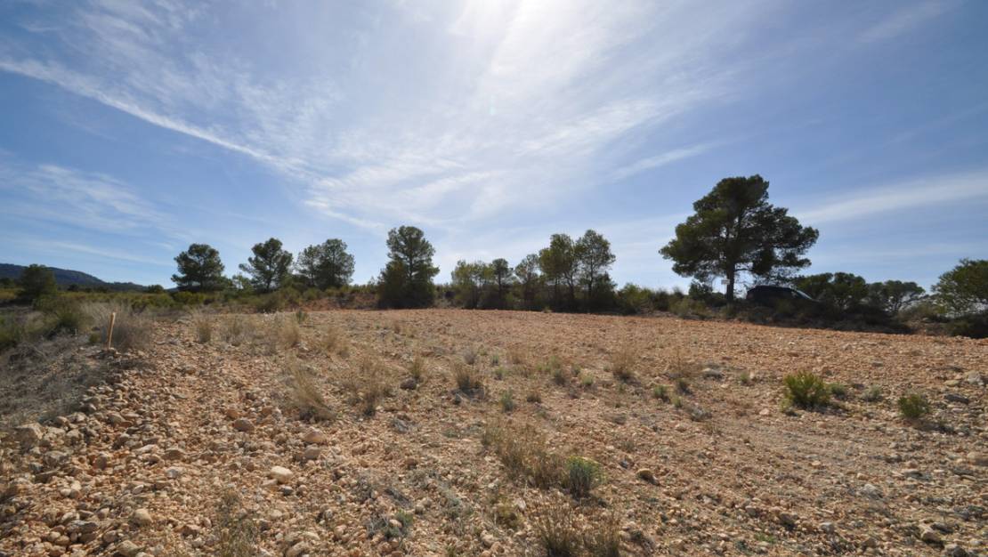 Venta - Land - Jumilla - La Zarza