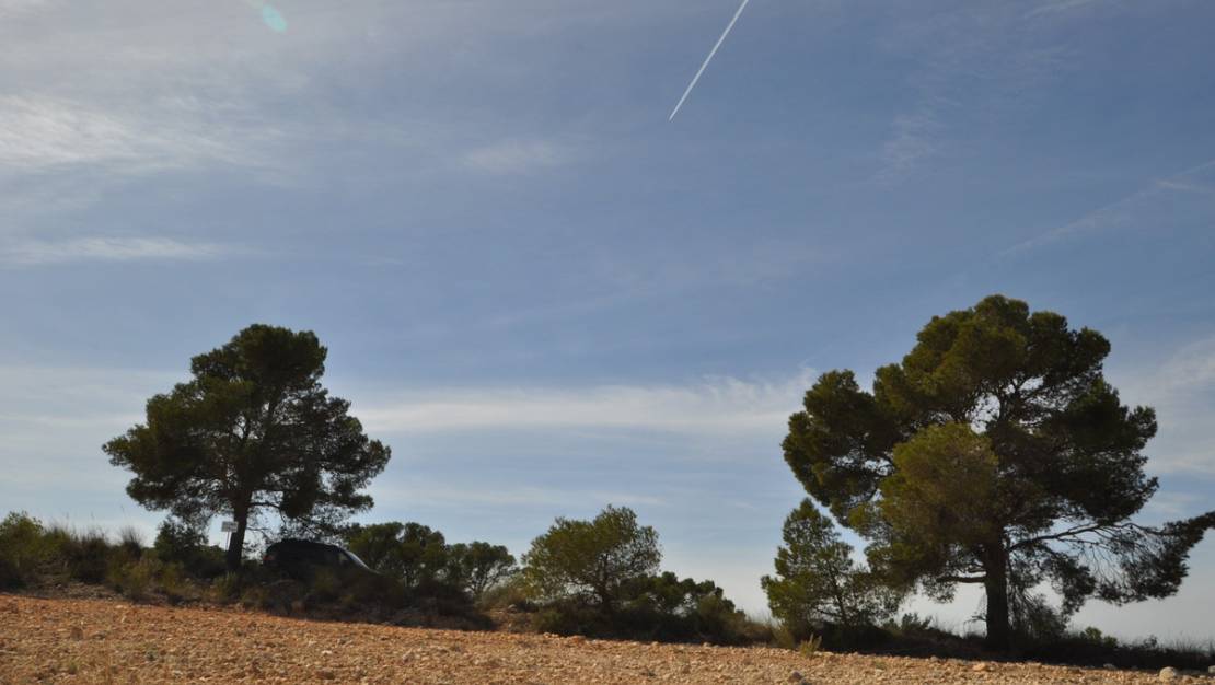 Venta - Land - Jumilla - La Zarza