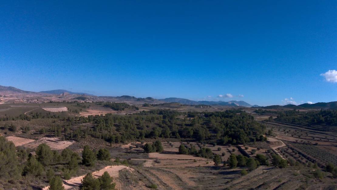Venta - Land - Jumilla - La Zarza