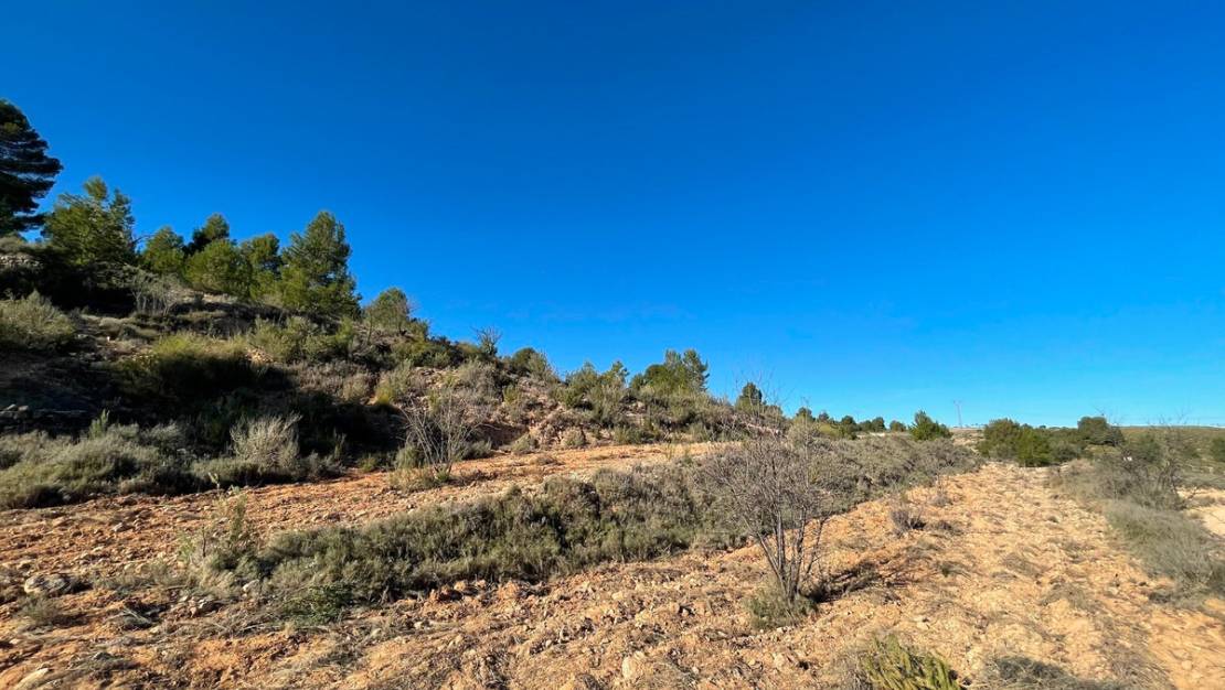 Venta - Land - Jumilla - La Zarza