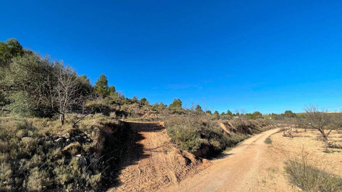 Venta - Land - Jumilla - La Zarza