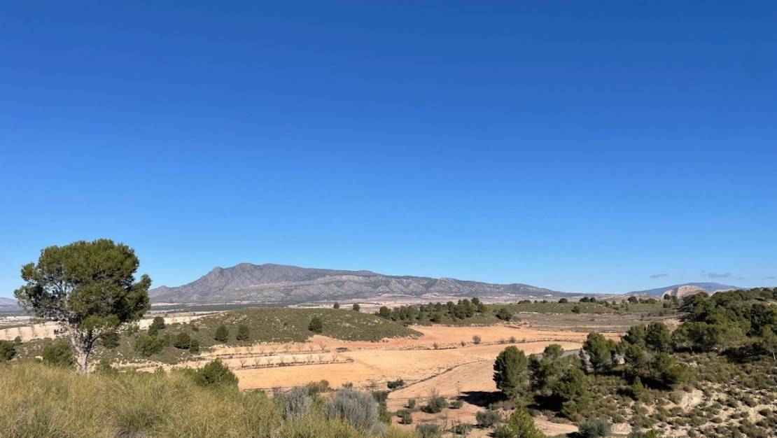 Venta - Land - Jumilla - La Zarza
