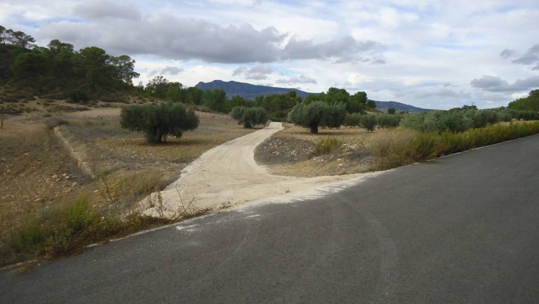 Venta - Land - Jumilla - La Zarza