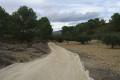 Venta - Land - Jumilla - La Zarza